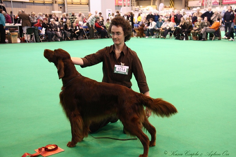 Crufts2011_2 119.jpg